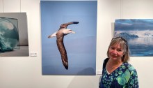 Soaring at Gallery Unbound