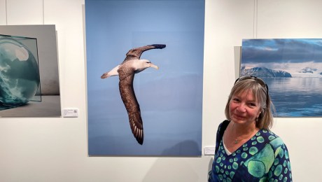 Soaring at Gallery Unbound