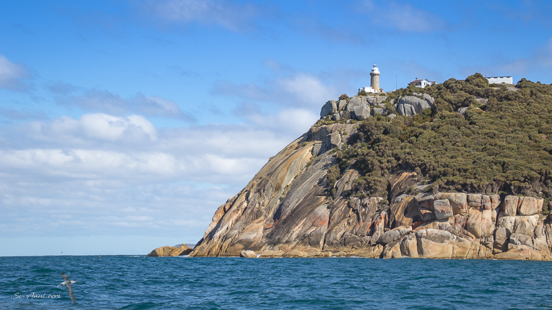 Southeast Point - Wilson's Promontory