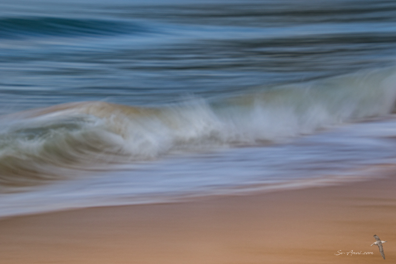 Wave ICM Photography
