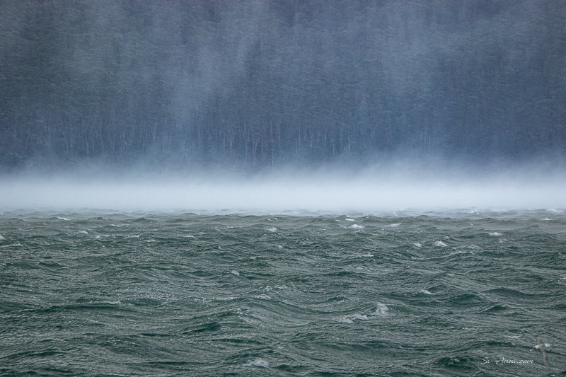 Storm force conditions at Sealers Cove