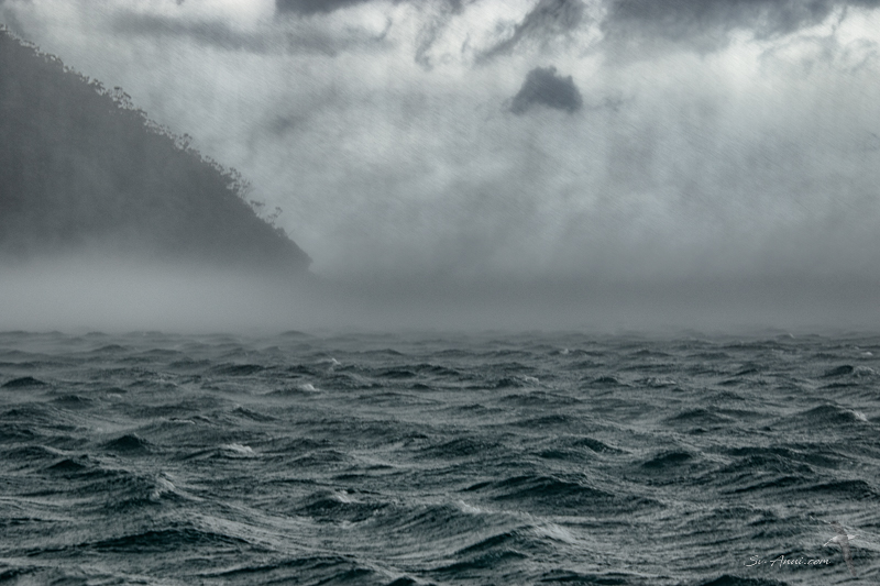 Storm force conditions at Sealers Cove