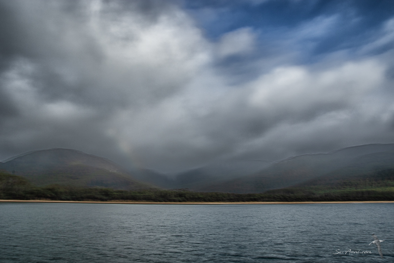 Sealers Cove shrouded in clouds