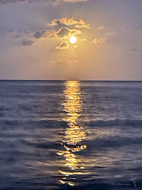 Full Moon at Waterloo Bay