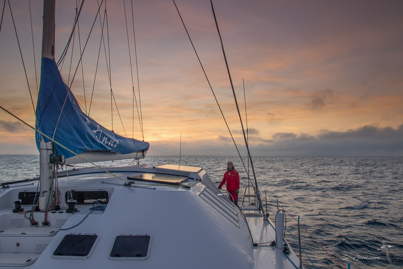 Dawn at sea