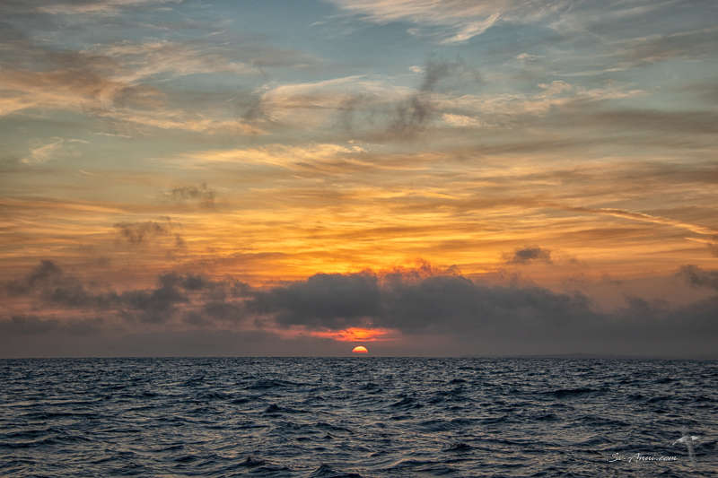 Dawn off Phillip Island