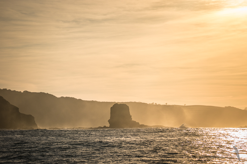 Pulpit Rock, Cape Shanck