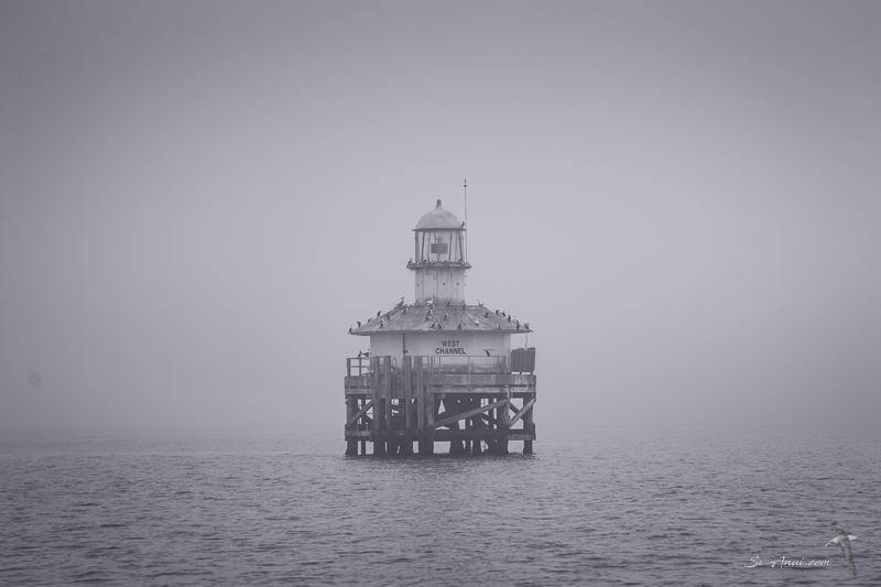 West Channel Marker in fog - Port Phillip Bay