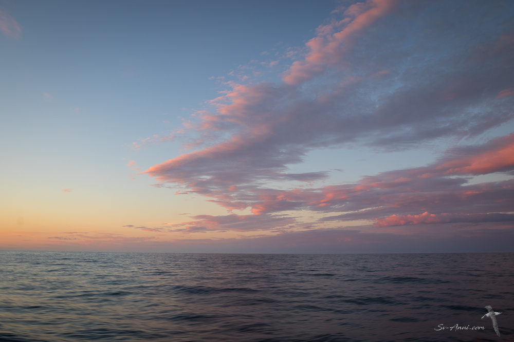 Dawn in Bass Strait