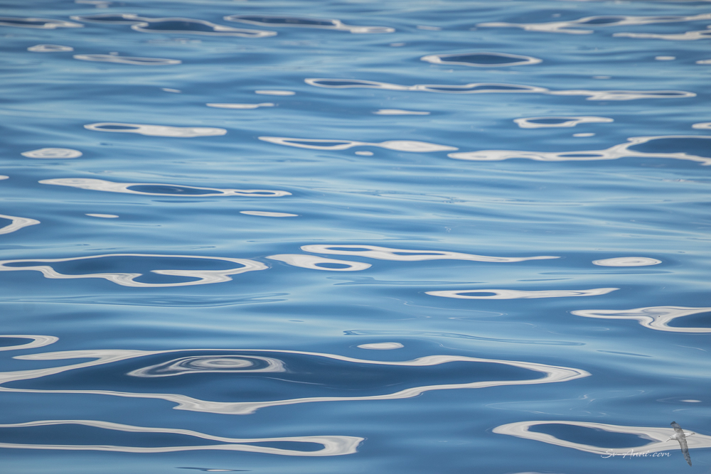 Mirror calm in Bass Strait