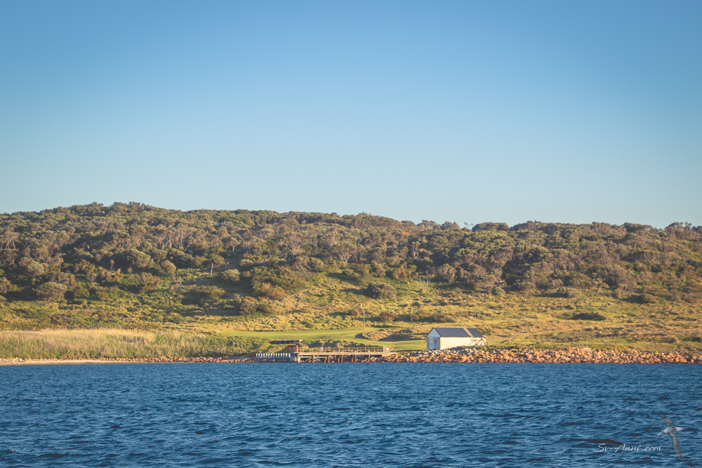 Arrival at Gabo Island