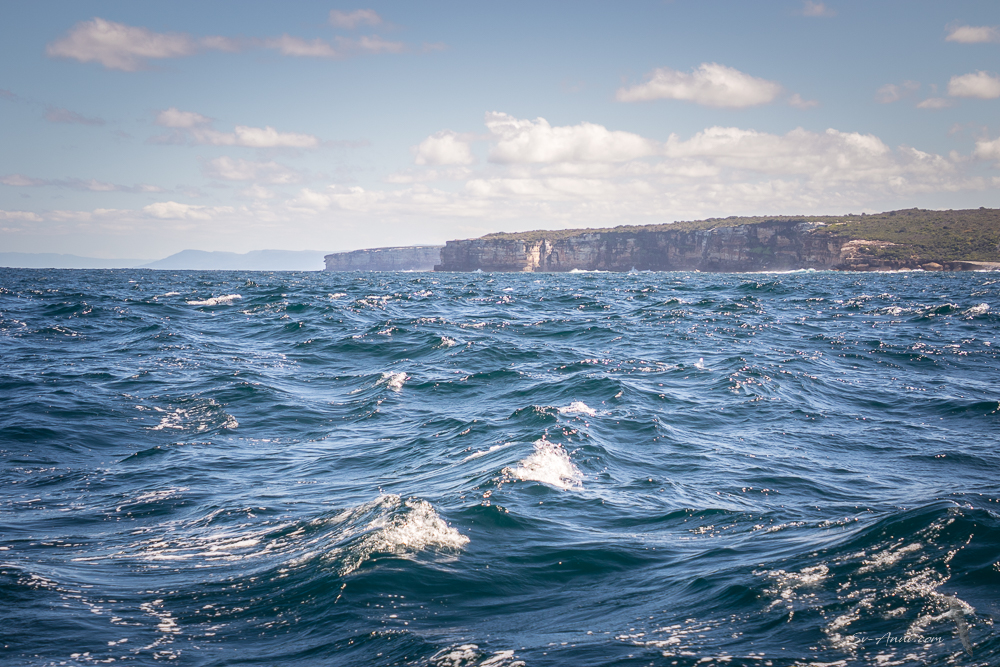 Royal National Park cliffs from the ocean